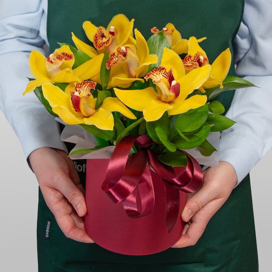 Композиция из Орхидей в шляпной коробке «Тепло тропиков»