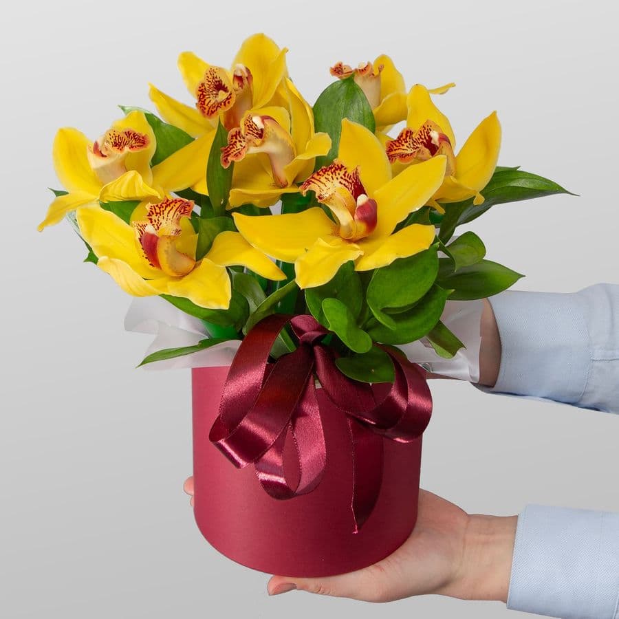 Композиция из Орхидей в шляпной коробке «Тепло тропиков»