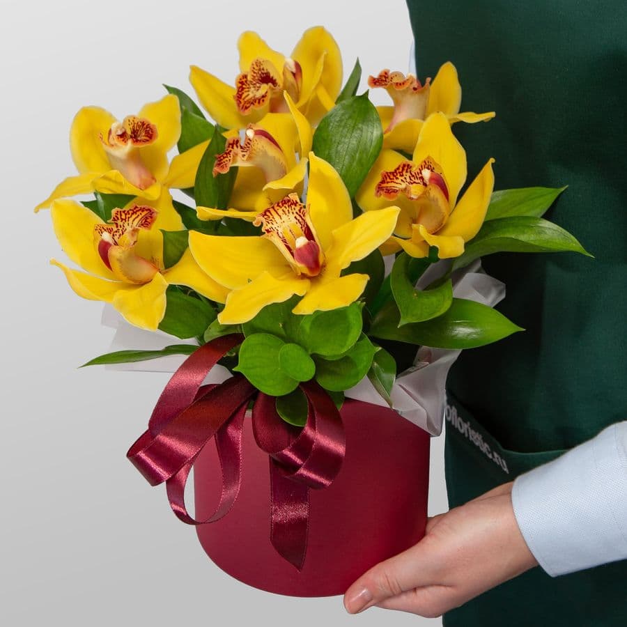 Композиция из Орхидей в шляпной коробке «Тепло тропиков»