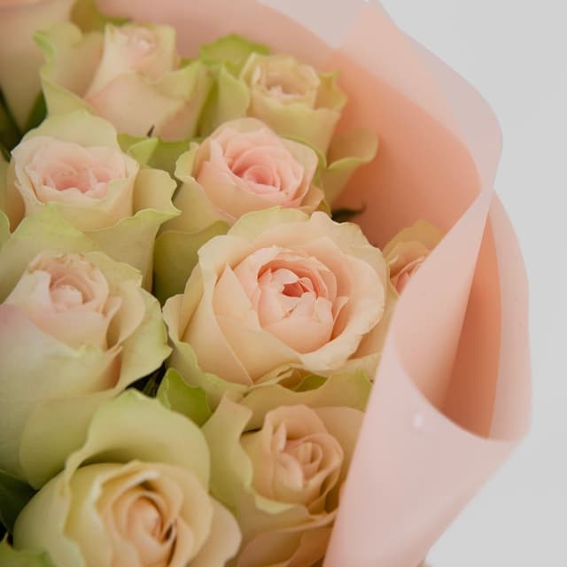 Букет Роз Кения 15 шт «Пыльный персик»