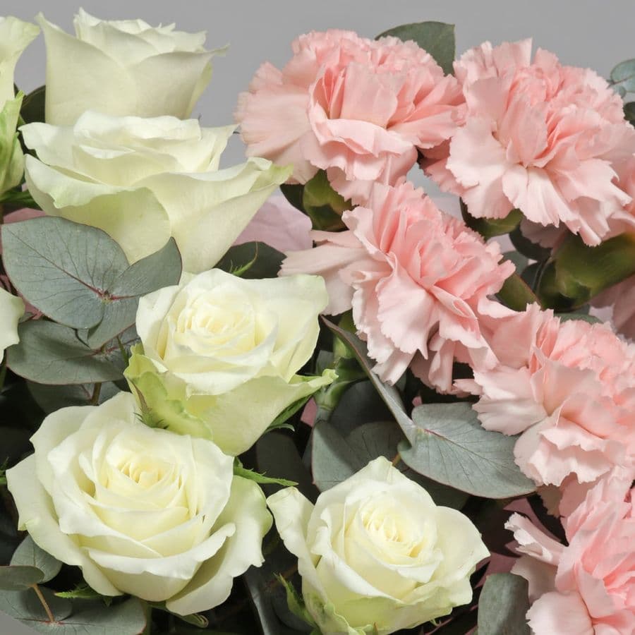 Букет из Роз Кения и Гвоздик «Молочный рассвет»