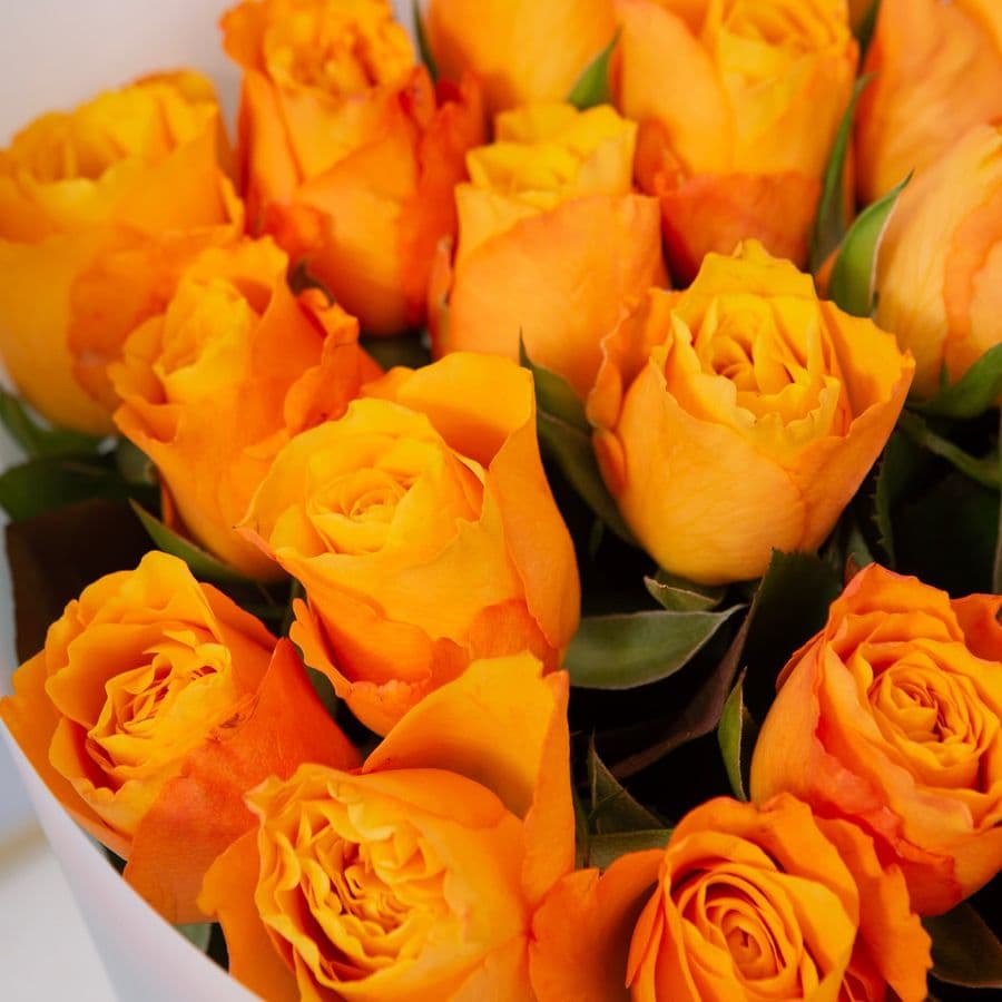 Букет Роз Кения 15 шт «Солнечный привет»