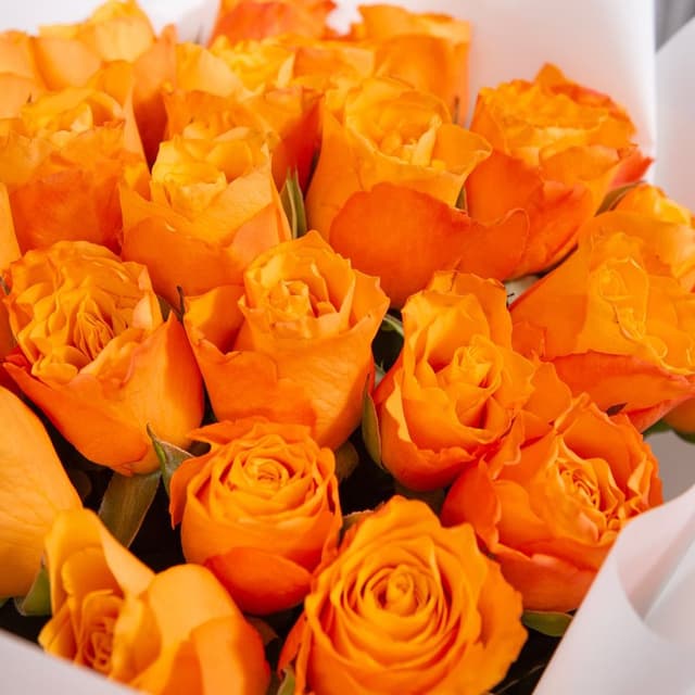 Букет Роз Кения 25 шт «Медовый вечер»