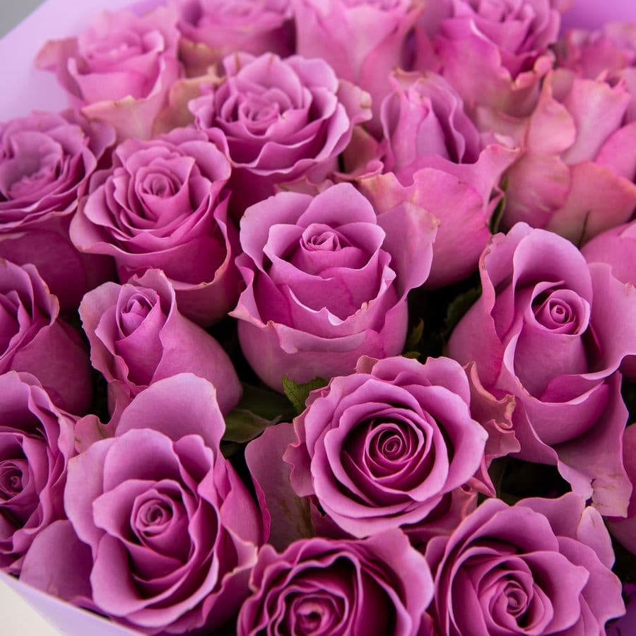 Букет сиреневых Роз Кения 25 шт «Очарование мгновения»
