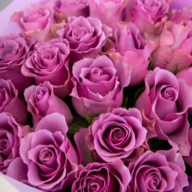 Букет сиреневых Роз Кения 25 шт «Очарование мгновения»