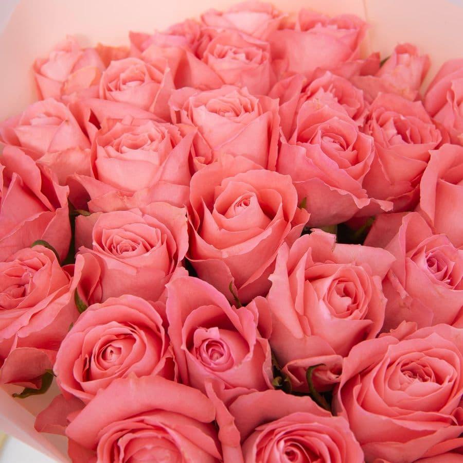 Букет Роз Кения 15 шт «Дыхание зари»