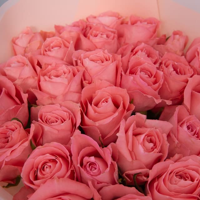 Букет Роз Кения 31 шт «Радость момента»