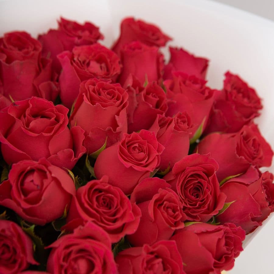 Букет Роз Кения 15 шт «Путь к сердцу»