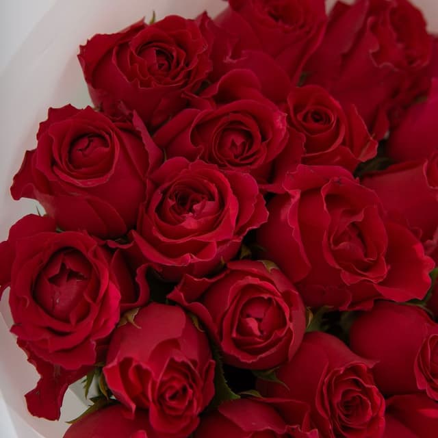 Букет Роз Кения 31 шт «Пылающее чувство»