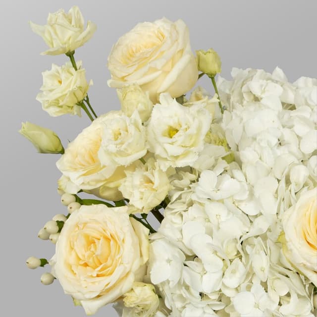 Композиция из Роз Эквадор, Гортензий и Эустом в шляпной коробке «Танец нежности»