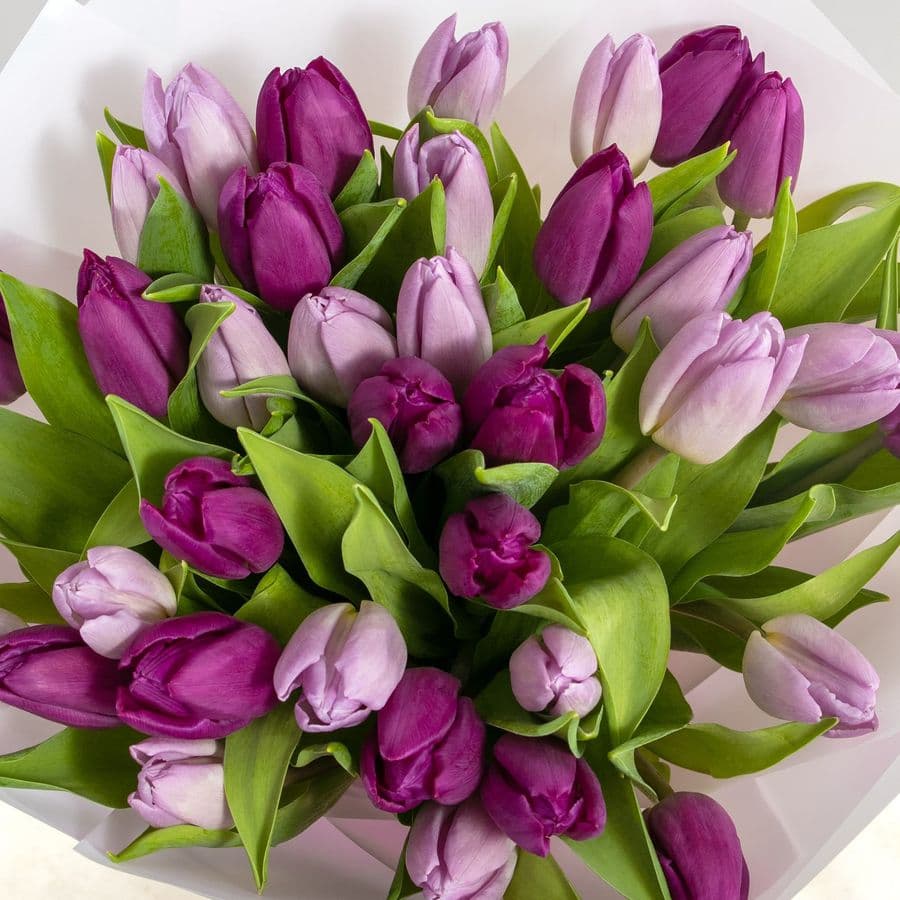 Букет Тюльпанов «Цветочная соната»