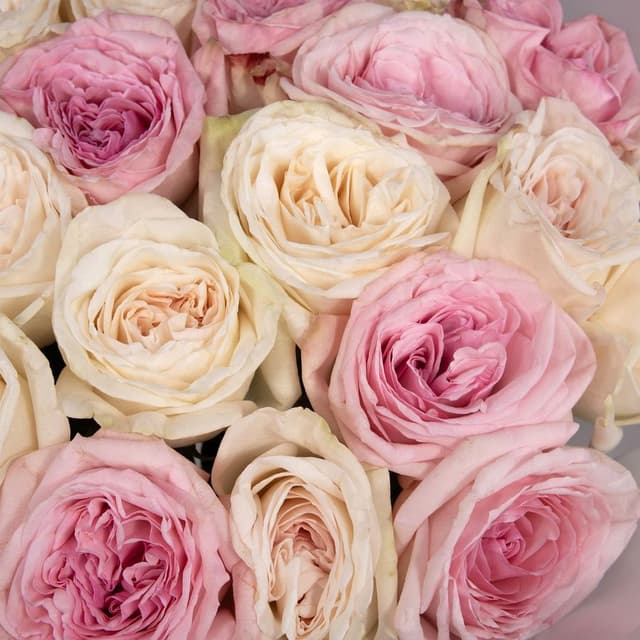 Букет из пионовидных Роз «Первое признание»