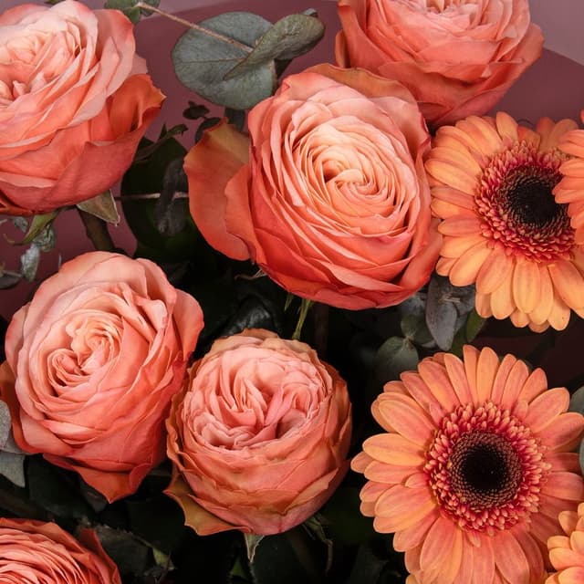 Букет из Роз Кахала и Гермини «Нежность юга»