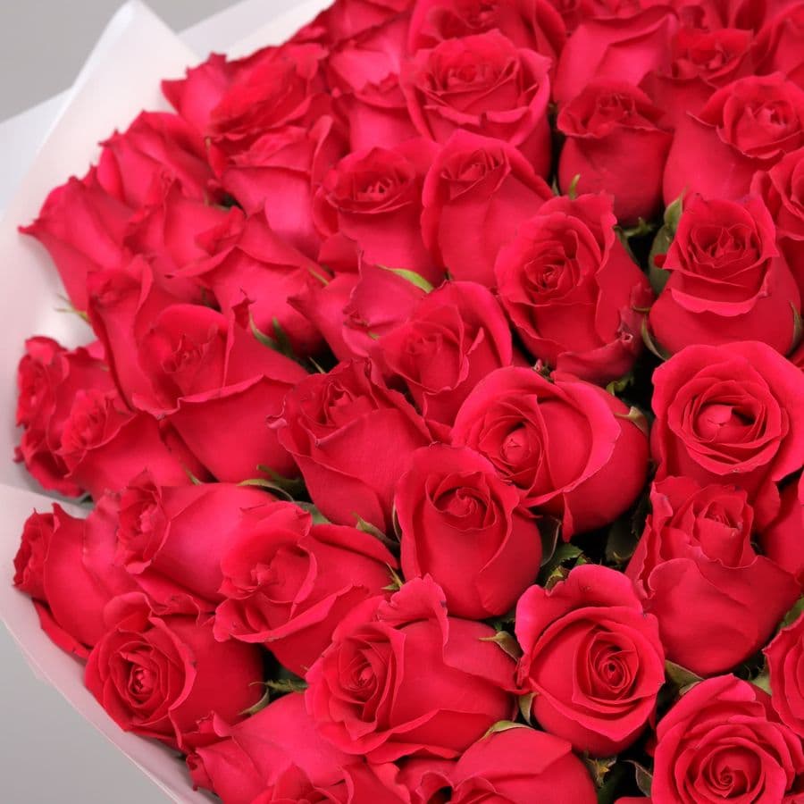 Букет Роз Кения 101 шт «Для самой дорогой»