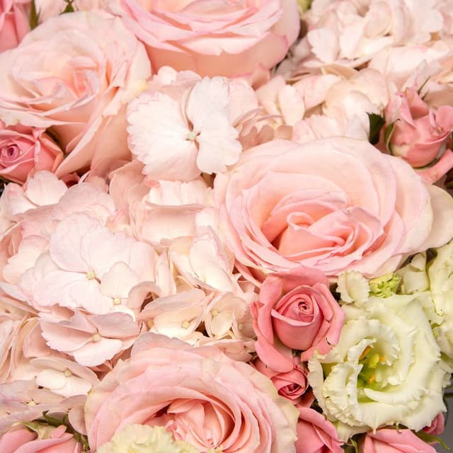 Букет из Гортензий, Эустомы и Роз «Нежное утро»