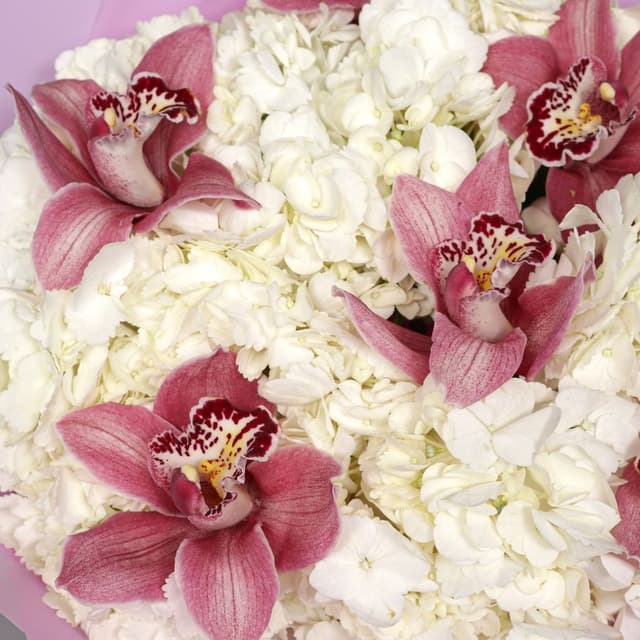 Букет из Гортензий и Орхидей «Сахарная дымка»