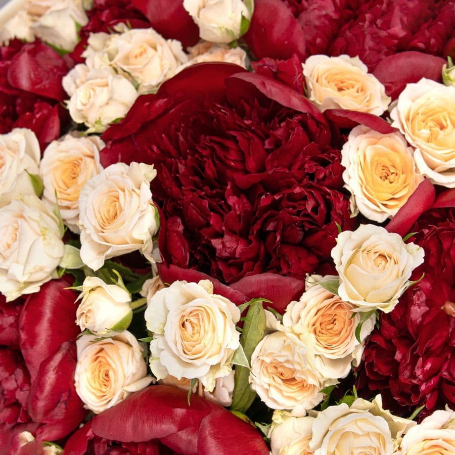 Букет из Пионов и кустовых Роз «Бургундский шелк»
