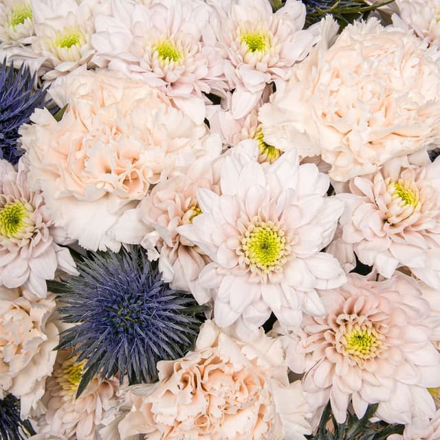 Композиция из Гвоздик, Хризантем и Эрингиума в шляпной коробке «Сахарный иней»