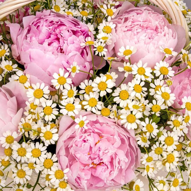 Композиция из Ромашек и Пионов в корзине «Сердце лета»