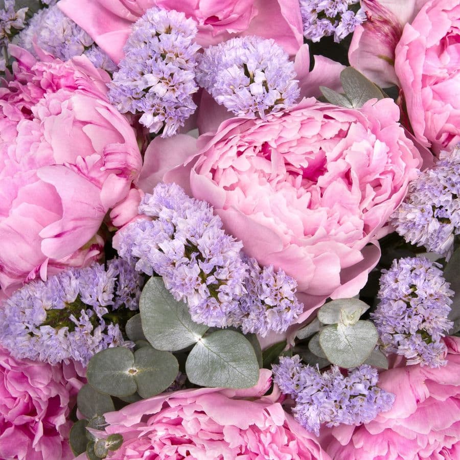 Композиция из Пионов и Статицы в шляпной коробке «Парижская дымка»