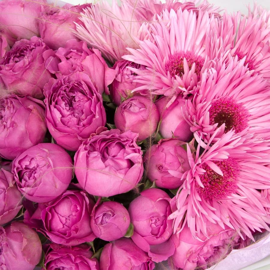 Букет из Роз Бомбастик и Гермини «Розовая бестия»