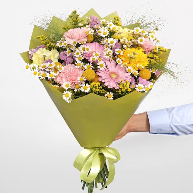 Букет из Ромашек, Гвоздик и Гермини «Песня луга»