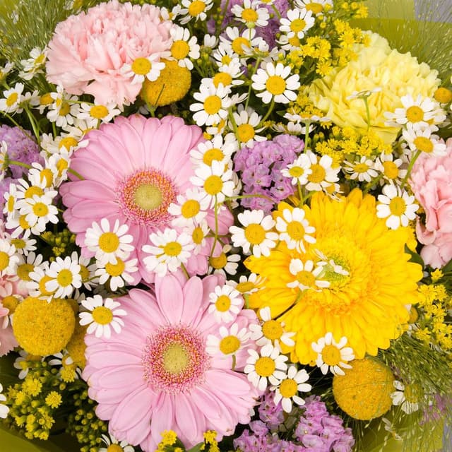 Букет из Ромашек, Гвоздик и Гермини «Песня луга»