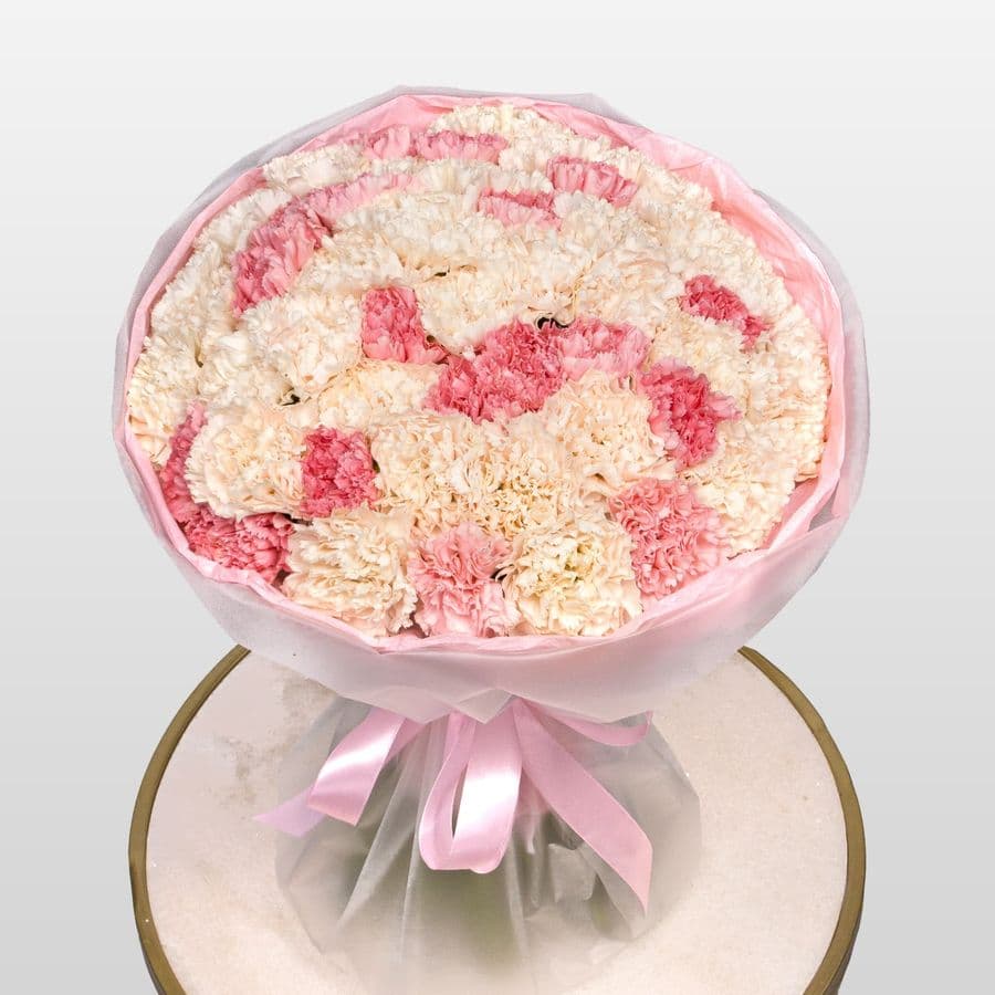 Букет из Гвоздик «Большое счастье»