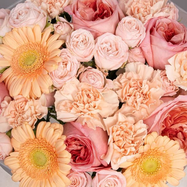 Букет из Роз, Гермини и Гвоздик «Лёгкая радость»