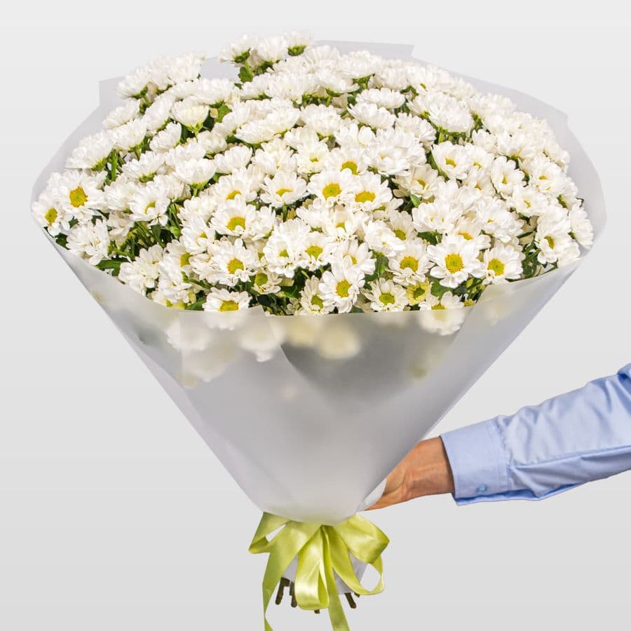 Букет Хризантем Сантини «Нежный день»