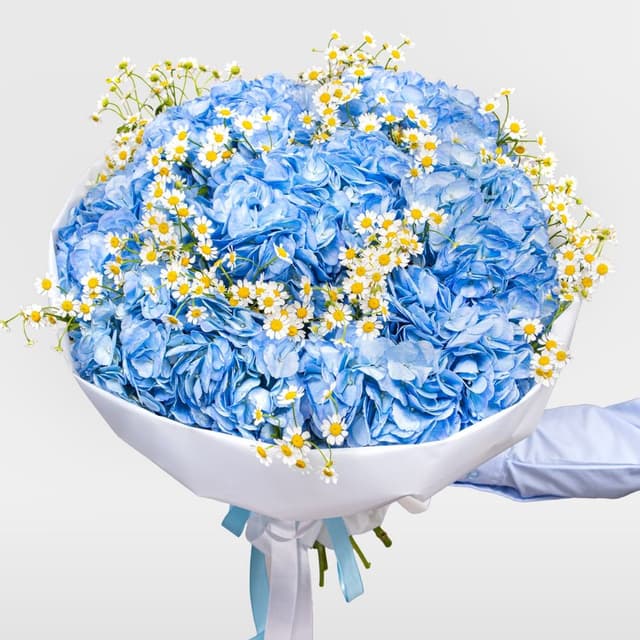 Букет из Гортензий и Ромашек «Улыбка лета»