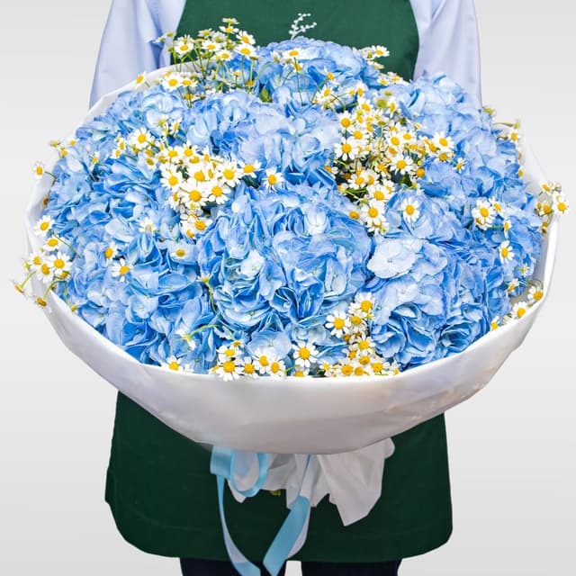 Букет из Гортензий и Ромашек «Небо в ромашках»