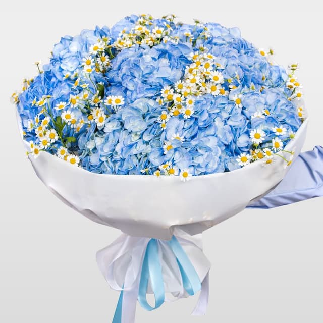 Букет из Гортензий и Ромашек «Небо в ромашках»