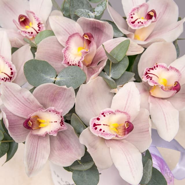 Композиция из Орхидей в шляпной коробке «Пленительная нежность»