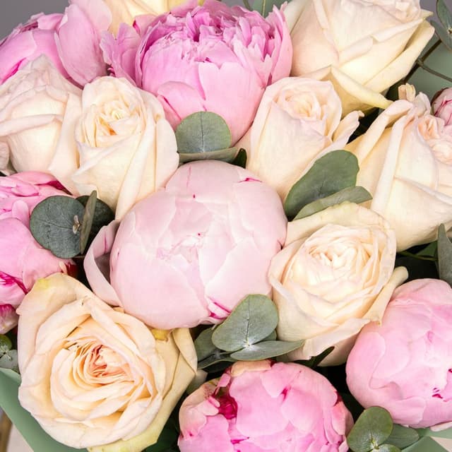 Букет из Пионов и Роз «Ангельский сон»