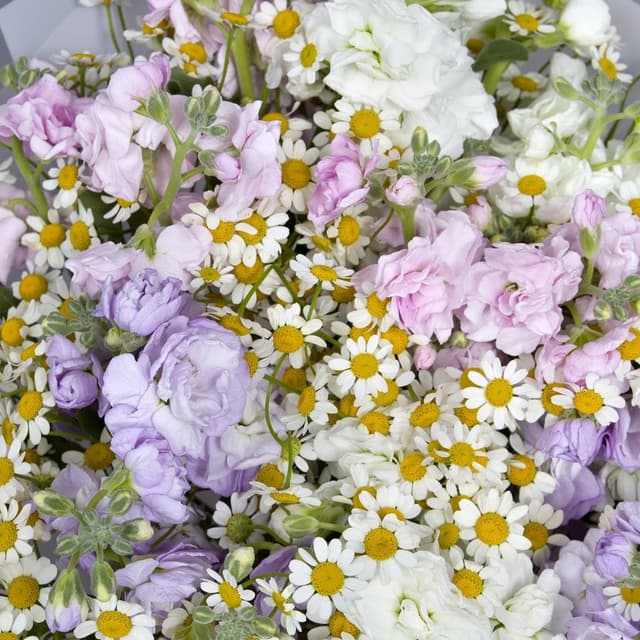 Букет из Ромашек и Маттиолы «Дикий Мед»