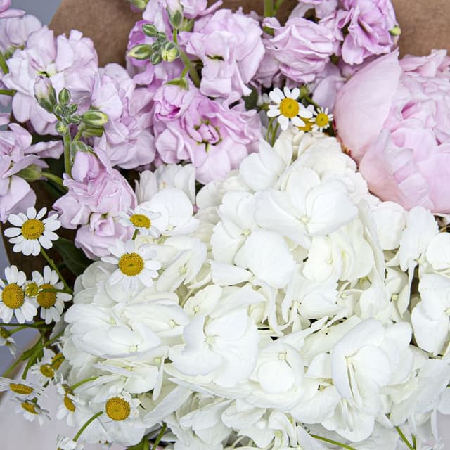 Букет из Ромашки, Пиона, Гортензии и Маттиол «Летнее Письмо»
