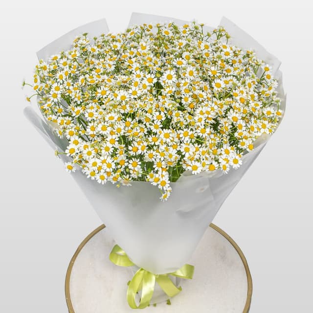 Букет Ромашек «Летняя Нежность»