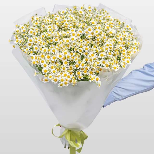 Букет Ромашек «Летняя Нежность»