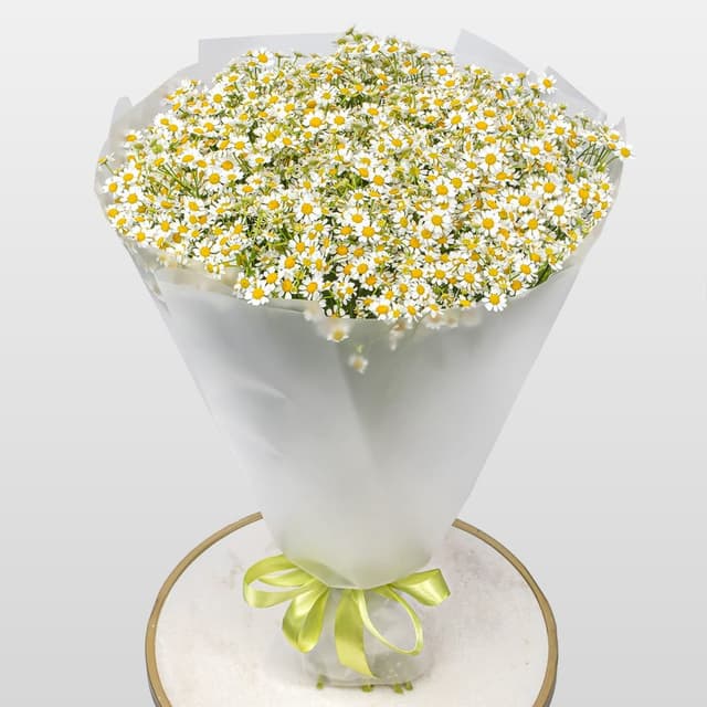 Букет Ромашек «Душа поля»