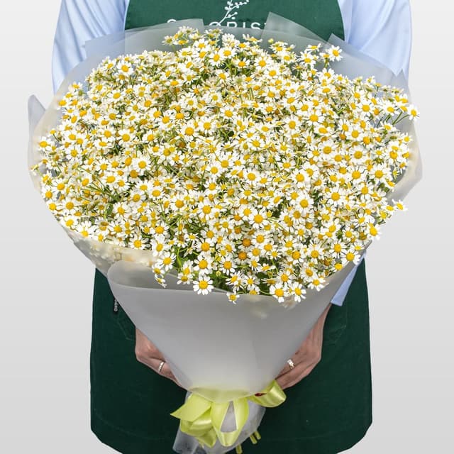 Букет Ромашек «Душа поля»