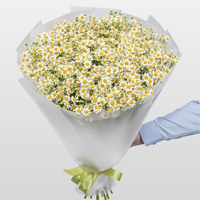 Букет Ромашек «Душа поля»