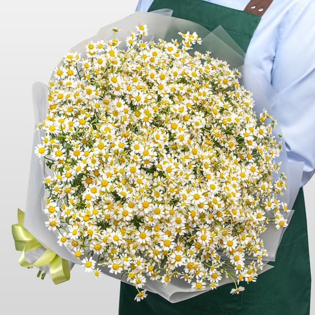 Букет Ромашек «Душа поля»