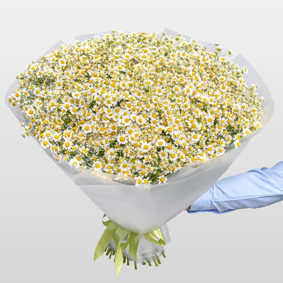 Букет Ромашек «Солнечная поляна»