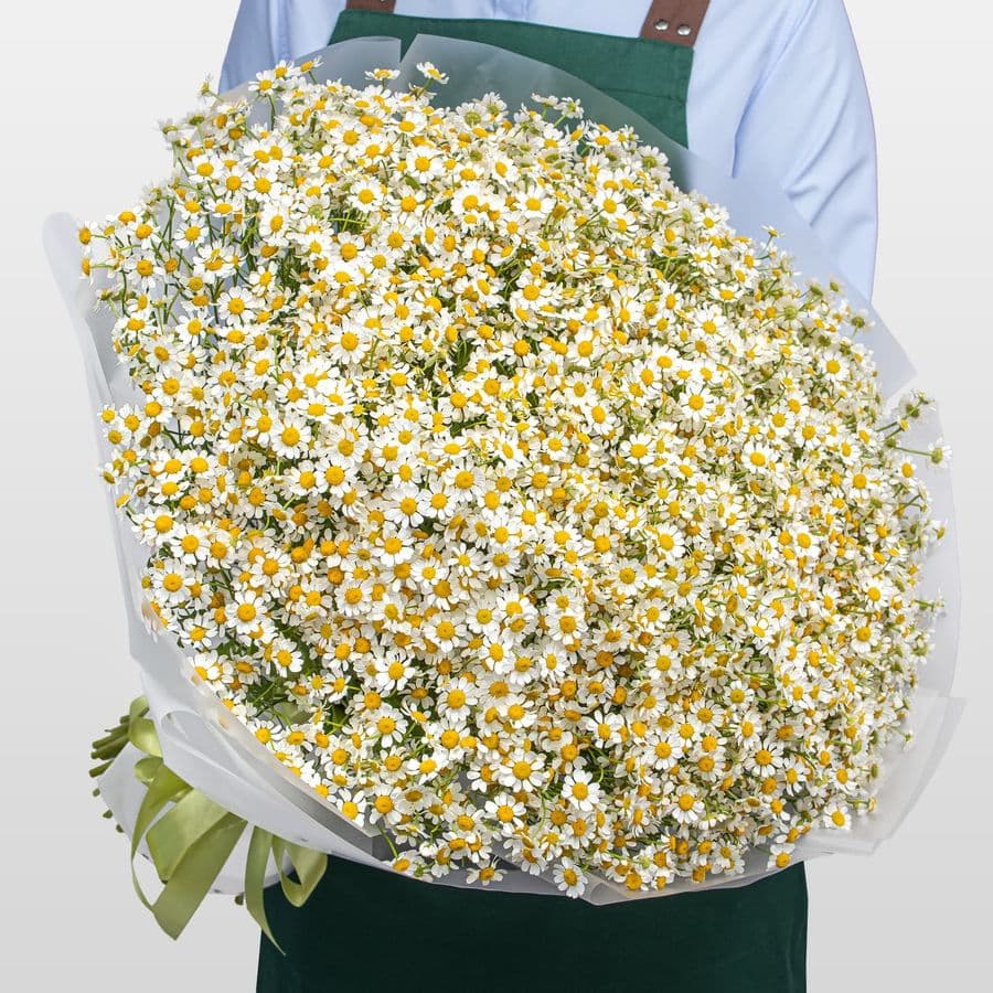 Букет Ромашек «Солнечная поляна»