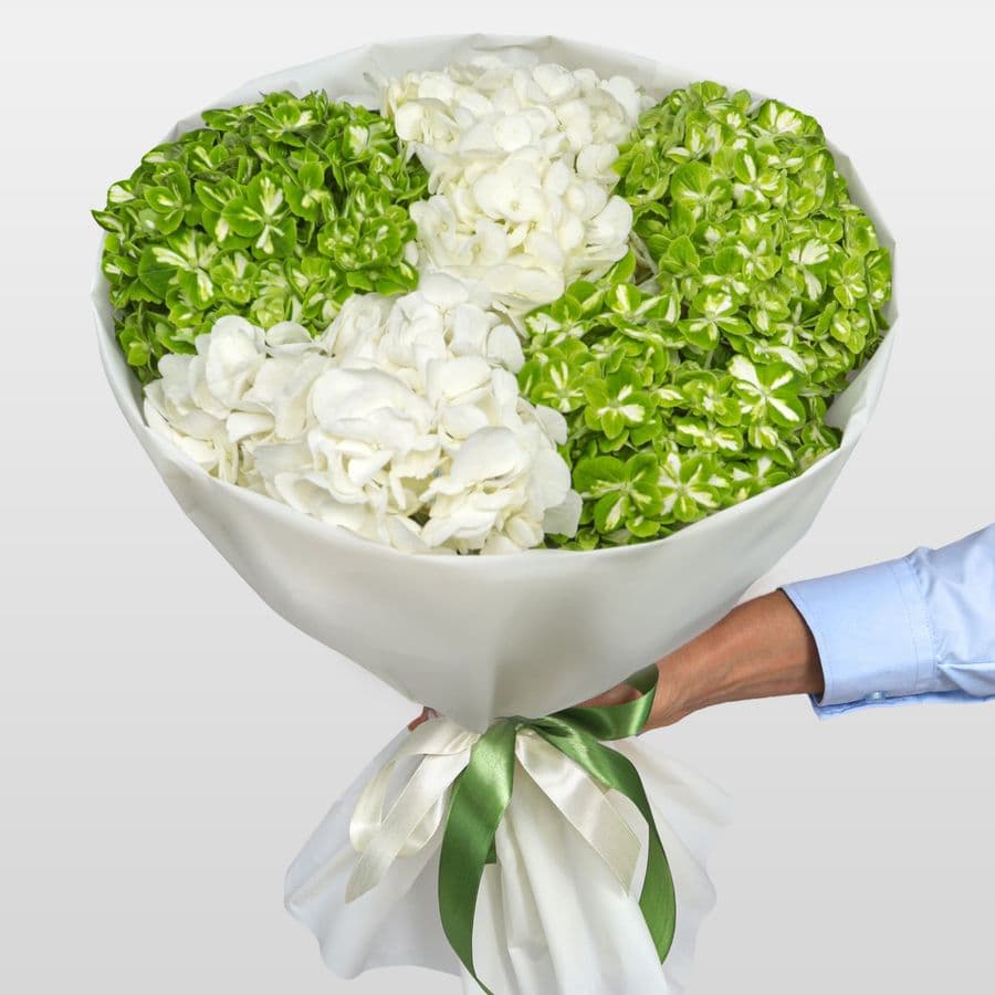 Букет из Гортензий «Мохито»