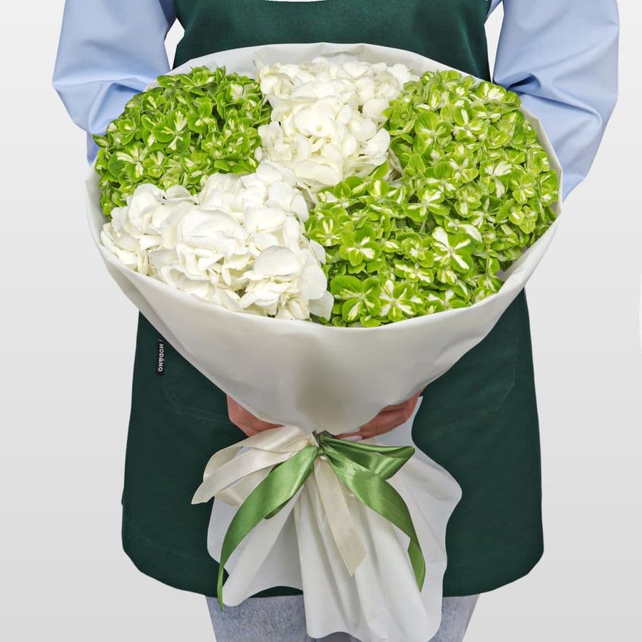 Букет из Гортензий «Мохито»