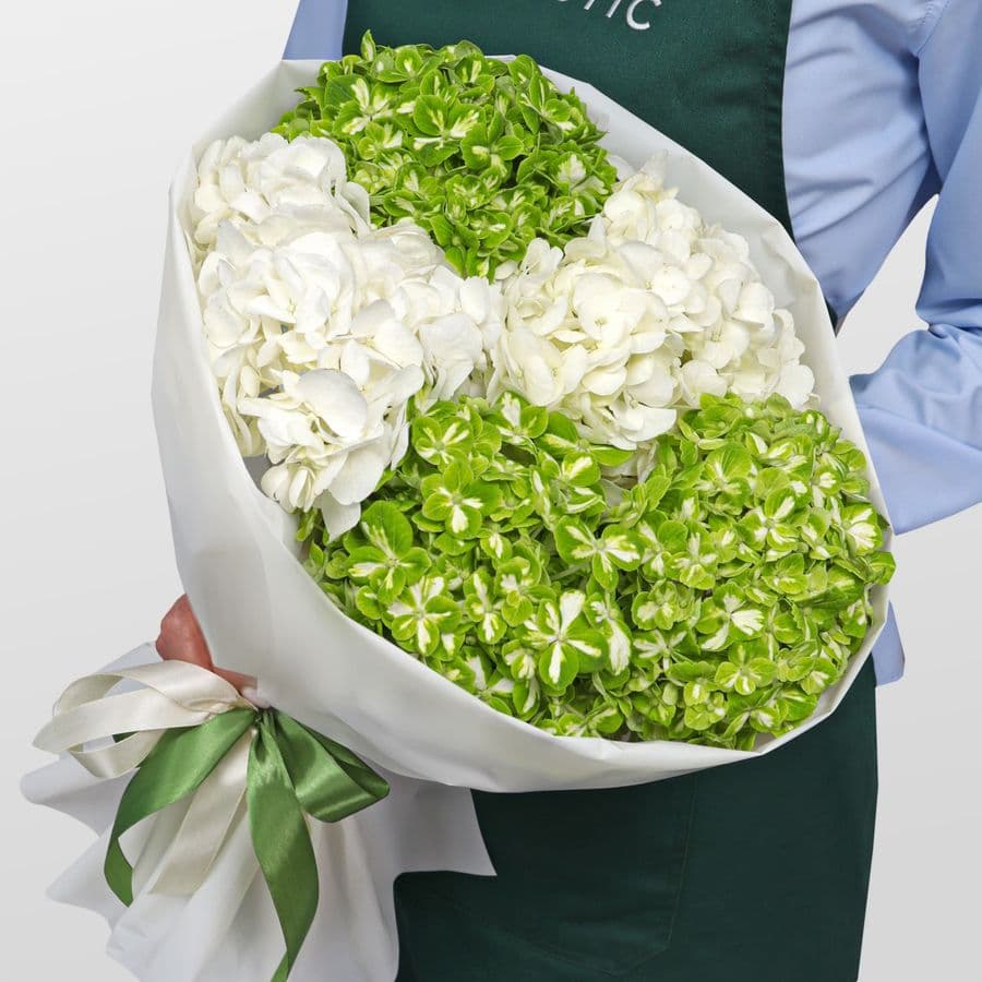 Букет из Гортензий «Мохито»