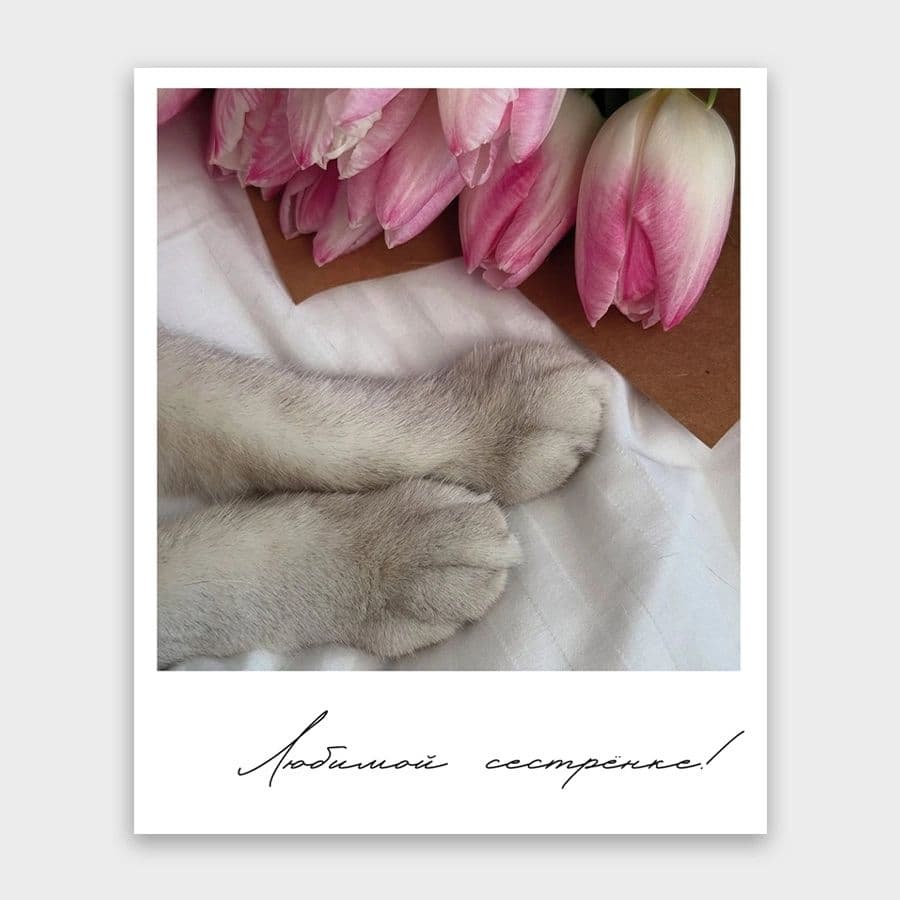 Открытка-фотокарточка «Любимой сестренке!»