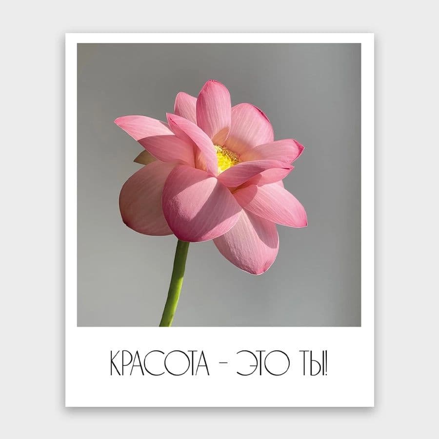 Открытка-фотокарточка «Красота это ты»